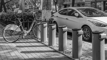 _DSC5554