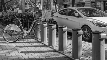 _DSC5554
