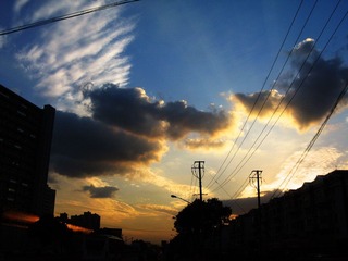 IMG_2214副本.jpg