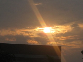 IMG_4375.JPG