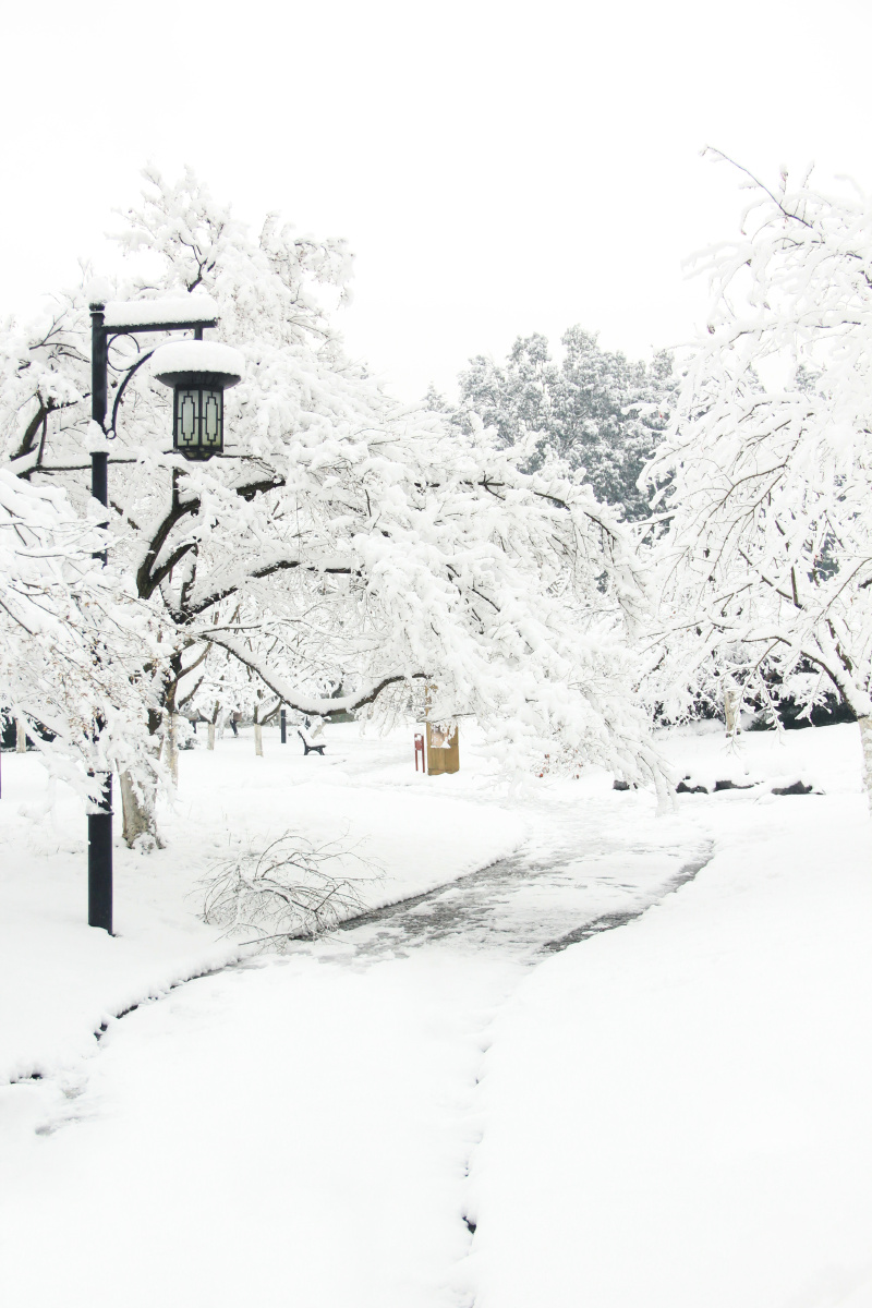 千山鸟飞绝万径人踪灭孤舟蓑笠翁独钓寒江雪