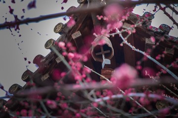 DSC_4897-1