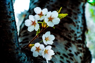 DSC_5872-1
