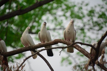 DSC_5951-1
