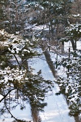 DSC_0266.jpg