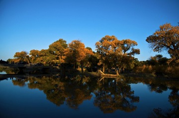DSC_2825.jpg