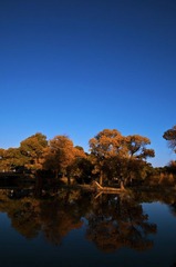 DSC_2827.jpg