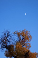 DSC_2883.jpg