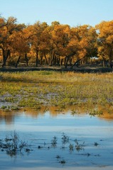DSC_3251.jpg