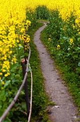 _DSC1070.jpg