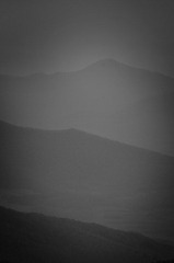 _DSC6340 2.jpg