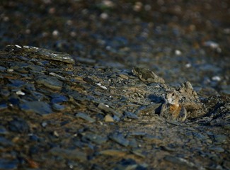 _DSC8396.jpg