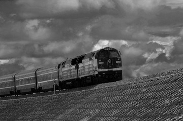 _DSC8686 2.jpg