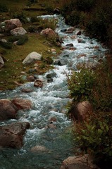 _DSC9974.jpg