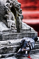 _DSC0551.jpg