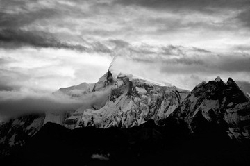 _DSC1296 2.jpg