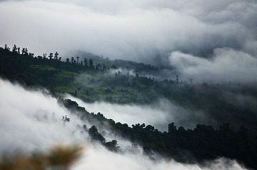_DSC2014.jpg