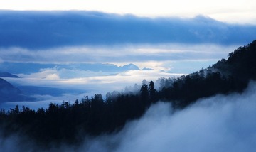 _DSC2068.jpg