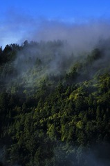 _DSC2205.jpg