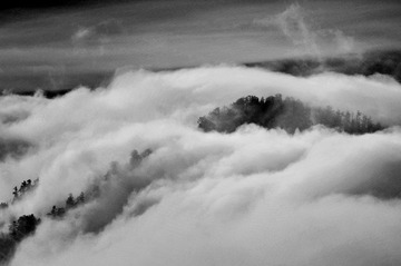 _DSC2214 2.jpg