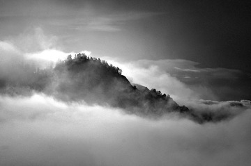 _DSC2215 2.jpg