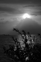 7DD91A35-674A-49FF-A049-BB1A767A4BA3/L0/001