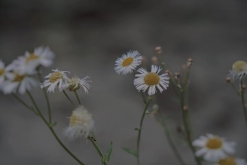 C7F1295D-7A6D-4741-A06B-9F68D4B1EE0A/L0/001