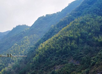 ACD871CA-1002-485B-A047-75D0D68E7F2D/L0/001