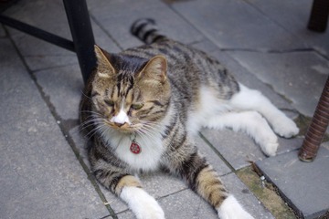IMGP3056.JPG