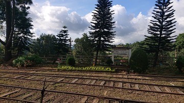1184933