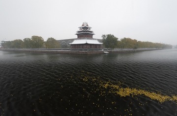 DSC_5128-003