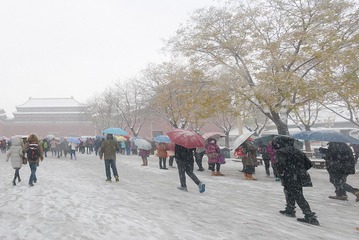 DSC_4977-2