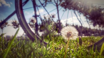 filter201509031932-01-01