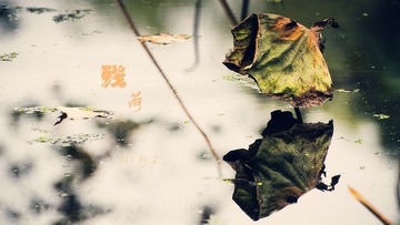 20111113-DSC_8821_副本.jpg