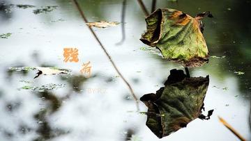 20111113-DSC_8821_副本11.jpg