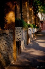 20111112-DSC_8787_副本.jpg