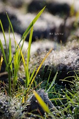 20111127-DSC_9473_副本.jpg