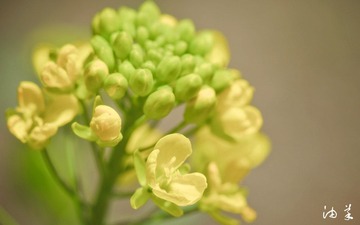 20120325-DSC_3516_副本.jpg