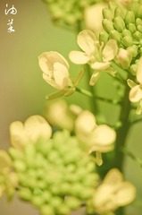 20120325-DSC_3508~1.jpg