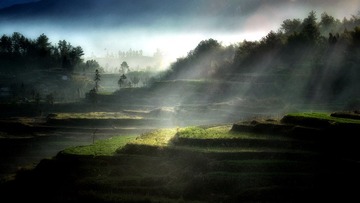 DSC_3416-编辑_副本~.jpg
