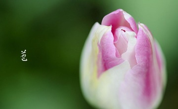 DSC_4453_副本.jpg
