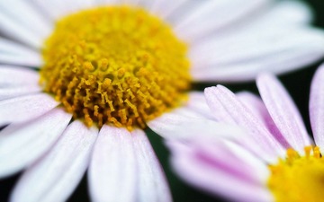 DSC_4957_副本.jpg