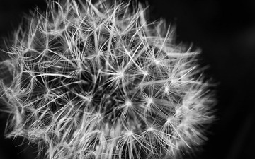 DSC_5173_副本.jpg