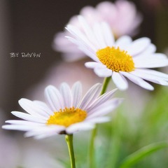 DSC_4962_副本.jpg