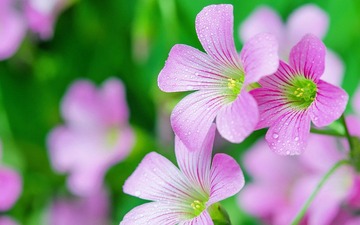DSC_5856_副本2.jpg