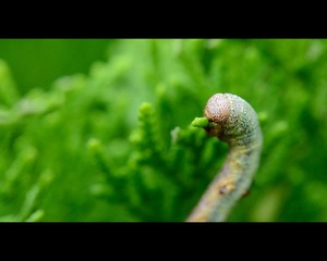 DSC_7960_副本.jpg