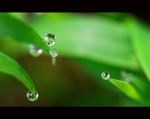 DSC_7909_副本.jpg