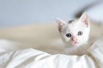 dsc_8628_副本.jpg