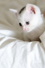 dsc_8630_副本.jpg