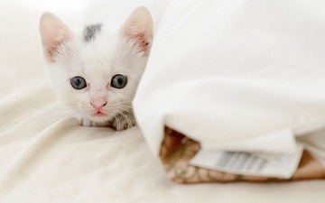 dsc_8644_副本.jpg